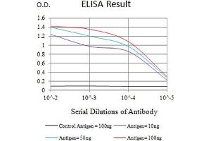Black line: Control Antigen (100 ng),Purple line: Antigen (10 ng), Blue line: Antigen (50 ng), Red line:Antigen (100 ng) (CD96 抗体  (AA 321-519))
