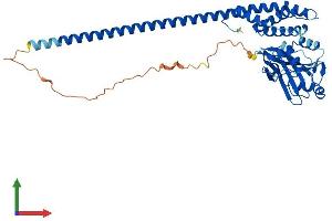 Protein Structure (PS) image for STAM Binding Protein (STAMBP) (AA 1-424) protein (His tag) (ABIN7560504)