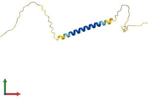AlphaFold protein structure predicition of Human Recombinant SERTM1 Protein, UniprotID A2A2V5