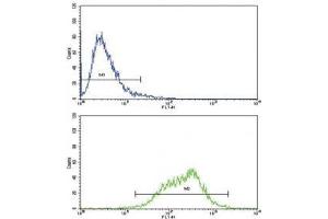 Flow cytometric analysis of CEM cells using LIF antibody (green) compared to a negative control (blue). (LIF 抗体  (AA 72-101))
