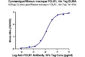 ELISA image for Folate Receptor 1 (Adult) (FOLR1) (AA 25-233) protein (His tag) (ABIN7274662)