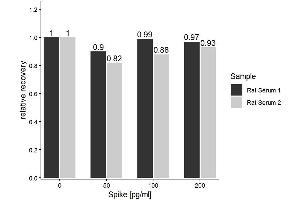 The Rat Aβ1-42 (Amyloid Beta 1-42) ELISA Kitwas tested for Spiking and Recovery. (Abeta 1-42 ELISA 试剂盒)
