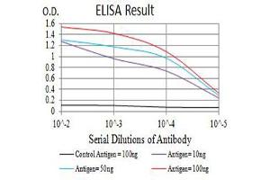 Black line: Control Antigen (100 ng),Purple line: Antigen (10 ng), Blue line: Antigen (50 ng), Red line:Antigen (100 ng) (PDGFRA 抗体  (AA 179-361))