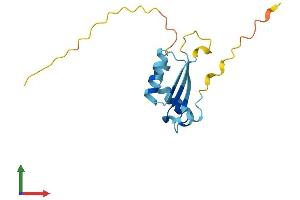 Protein Structure (PS) image for BolA-like Protein 1 (BOLA1) (AA 1-137) protein (His tag) (ABIN7561133)