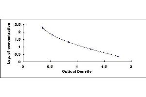 Typical standard curve