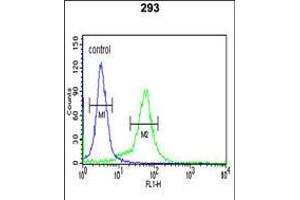 Flow cytometric analysis of 293 cells (right histogram) compared to a negative control cell (left histogram). (BTBD1 抗体  (AA 295-322))