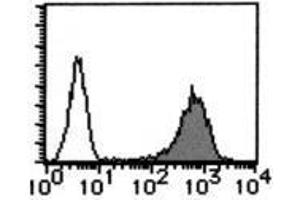 Flow Cytometry (FACS) image for anti-CD59 (CD59) antibody (ABIN1449269) (CD59 抗体)