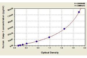 Typical standard curve (Caspase 1 ELISA 试剂盒)