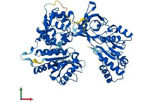 Protein Structure (PS) image for NADPH Dependent Diflavin Oxidoreductase 1 (NDOR1) (AA 1-597) protein (His tag) (ABIN7549651)