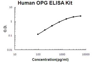 Human OPG Accusignal ELISA Kit Human OPG AccuSignal ELISA Kit standard curve. (RANKL ELISA 试剂盒)