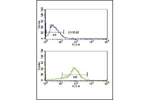 Flow Cytometry (FACS) image for anti-APEX Nuclease (Apurinic/apyrimidinic Endonuclease) 2 (APEX2) (AA 143-171) antibody (ABIN652924)