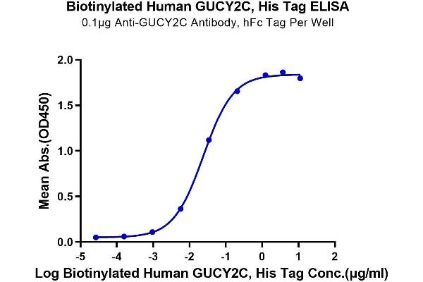 GUCY2C Protein (AA 24-430) (His-Avi Tag,Biotin)