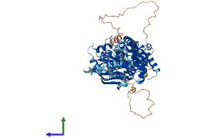Protein Structure (PS) image for ATP-Binding Cassette, Sub-Family G (WHITE), Member 1 (ABCG1) (AA 1-678) protein (His tag) (ABIN7551763)