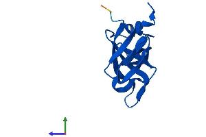 Protein Structure (PS) image for Ribosomal Protein L35a (RPL35A) (AA 1-110) protein (His tag) (ABIN7562489)
