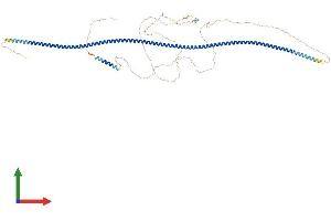 AlphaFold protein structure predicition of Human Recombinant CCDC62 Protein, UniprotID Q6P9F0 (CCDC62 Protein (AA 1-684) (His tag))