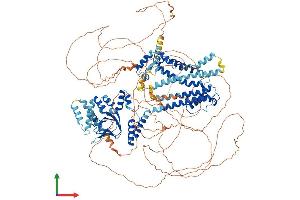 Protein Structure (PS) image for Hyperpolarization Activated Cyclic Nucleotide-Gated Potassium Channel 4 (HCN4) (AA 1-1203) protein (His tag) (ABIN7554071)