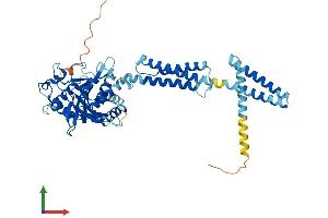 Protein Structure (PS) image for Atlastin GTPase 3 (ATL3) (AA 1-541) protein (His tag) (ABIN7560102)