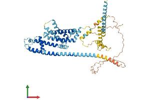Protein Structure (PS) image for Cation Channel, Sperm Associated 2 (CATSPER2) (AA 1-530) protein (His tag) (ABIN7546870)