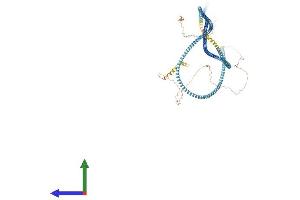 Protein Structure (PS) image for Synaptonemal Complex Protein 1 (SYCP1) (AA 1-976) protein (His tag) (ABIN7555670)
