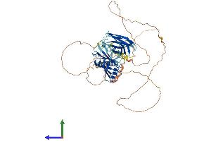 Protein Structure (PS) image for Synaptotagmin XIV (SYT14) (AA 1-555) protein (His tag) (ABIN7558225)