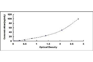 Typical standard curve (Tyrosine Hydroxylase ELISA 试剂盒)