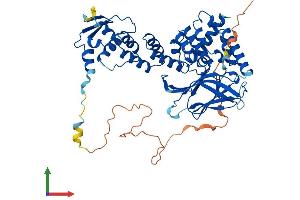 Protein Structure (PS) image for Germ Cell-Less, Spermatogenesis Associated 1 (GMCL1) (AA 1-524) protein (His tag) (ABIN7560175)