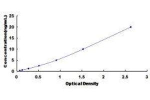 ELISA image for Glycine Transporter 1 (GLYT1) ELISA Kit (ABIN420029)