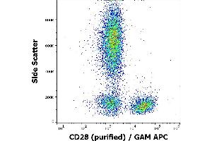 Flow Cytometry (FACS) image for anti-CD28 (CD28) antibody (ABIN775705)