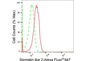 Flow cytometric analysis of Stomatin like 2 expression in HepG2 cells using Stomatin like 2 antibody (ABIN7800442), 1:2,000). (Recombinant STOML2 抗体)