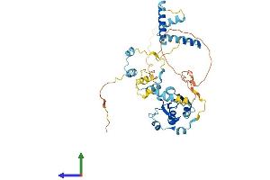 Protein Structure (PS) image for RNA Binding Motif Protein 41 (RBM41) (AA 1-413) protein (His tag) (ABIN7559407)