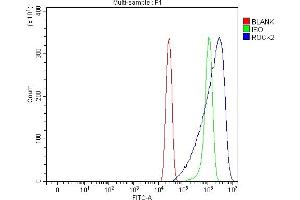 Flow Cytometry analysis of A431 cells using anti-ROCK2 antibody (ABIN7602651). (ROCK2 抗体  (AA 908-1386))