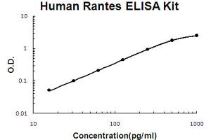 Human Rantes Accusignal ELISA Kit Human Rantes AccuSignal ELISA Kit standard curve.