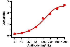 ELISA Validation with SARS-CoV-2 (COVID-19) Spike RBD+SD1 Recombinant ProteinAntibodies: SARS-CoV-2 (COVID-19) Spike RBD antibody, ABIN6952968 (1 μg/mL). (SARS-CoV-2 Spike 抗体  (RBD))