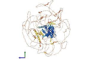 Protein Structure (PS) image for Cyclin-Dependent Kinase 13 (CDK13) (AA 1-1512) protein (His tag) (ABIN7553337)