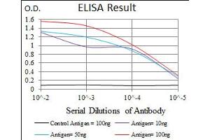 Image no. 5 for anti-Inner Centromere Protein Antigens 135/155kDa (INCENP) antibody (ABIN1491465)