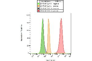 Flow cytometry analysis (surface staining) of CD71 in K562 cells (positive) and lymfocytes (negative) using anti-CD71 (MEM-75) FITC. (Transferrin Receptor 抗体  (FITC))