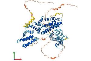 Protein Structure (PS) image for RAS Guanyl Releasing Protein 4 (RASGRP4) (AA 1-673) protein (His tag) (ABIN7548102)
