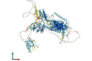 Protein Structure (PS) image for Patched Domain Containing 2 (PTCHD2) (AA 1-1347) protein (His tag) (ABIN7561986)