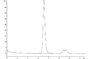 The purity of Biotinylated Human FGFR3 beta (IIIb) is greater than 95 % as determined by SEC-HPLC.