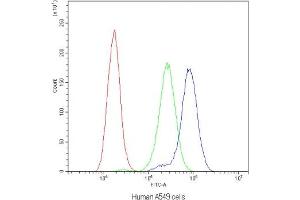Flow cytometry testing of human A549 cells with APRT antibody at 1ug/10^6 cells (blocked with goat sera) (APRT 抗体  (AA 5-49))
