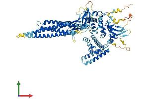 Protein Structure (PS) image for Signal Transducer and Activator of Transcription 4 (STAT4) (AA 1-749) protein (His tag) (ABIN7563241)