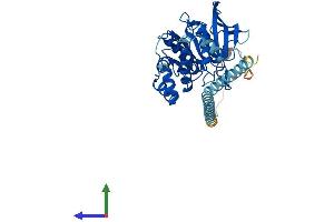 Protein Structure (PS) image for Protein tyrosine Phosphatase, Non-Receptor Type 2 (PTPN2) (AA 1-415) protein (His tag) (ABIN7555103)