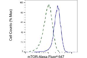 Validation of mTOR knockdown using flow cytometry. (Recombinant MTOR 抗体)