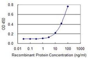 Detection limit for recombinant GST tagged IQCH is 1 ng/ml as a capture antibody. (IQCH 抗体  (AA 301-400))