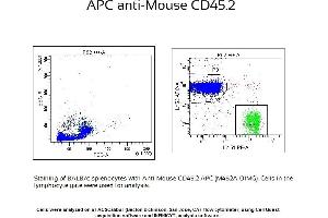 Image no. 1 for anti-CD45 (CD45.2 Allogen) antibody (APC) (ABIN3044650) (CD45.2 抗体  (APC))