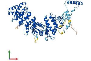 AlphaFold protein structure predicition of Human Recombinant RIC8A Protein, UniprotID Q9NPQ8 (RIC8A Protein (AA 1-531) (His tag))