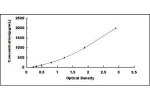 Typical standard curve (AGRN ELISA 试剂盒)