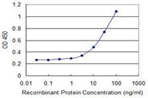 Detection limit for recombinant GST tagged NID2 is 1 ng/ml as a capture antibody. (NID2 抗体  (AA 1276-1375))