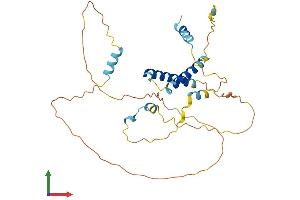 AlphaFold protein structure predicition of Mouse Recombinant Sertad2 Protein, UniprotID Q9JJG5