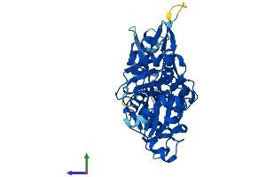 Protein Structure (PS) image for Actin Related Protein M1 (ARPM1) (AA 1-369) protein (His tag) (ABIN7558997)